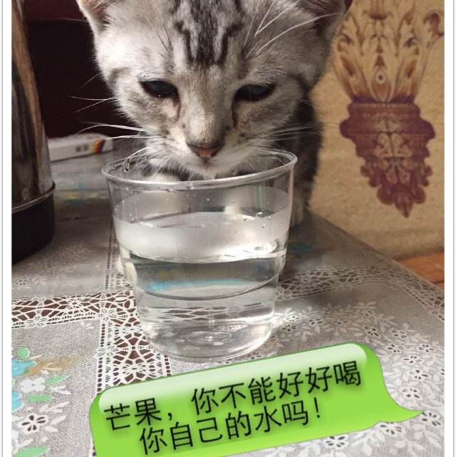 办假硕士文凭